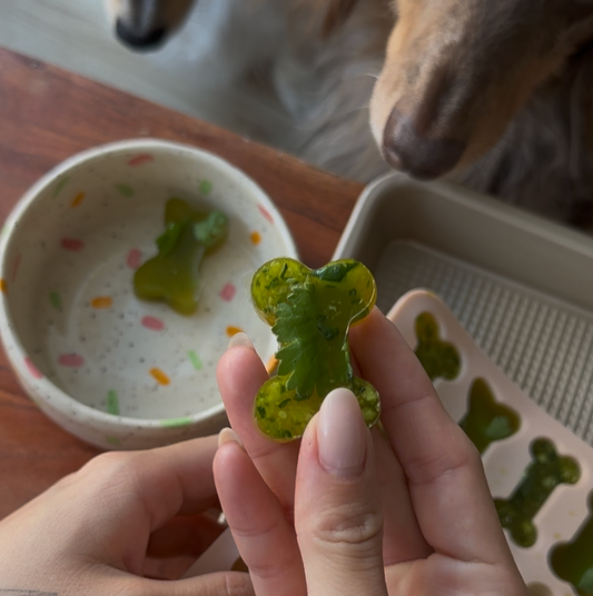 Gummies "Détox" au Bouillon d'Os & Multivitamines