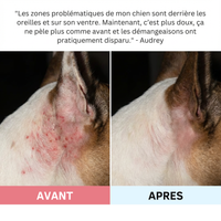 Croquette multivitamine pour chiens