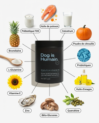 Friandises Anti-Démangeaisons & Immunité