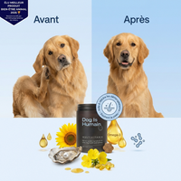 Friandises Anti-Démangeaisons & Immunité