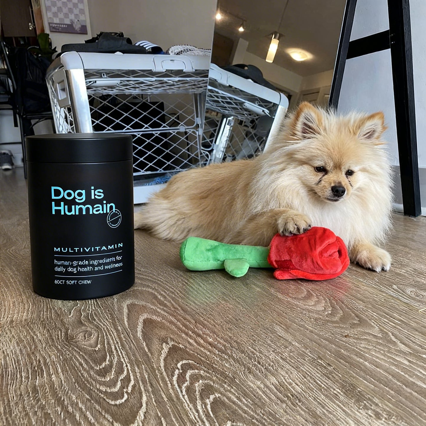 Rose en peluche pour chien – Jouet interactif