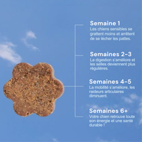 Croquette multivitamine pour chiens